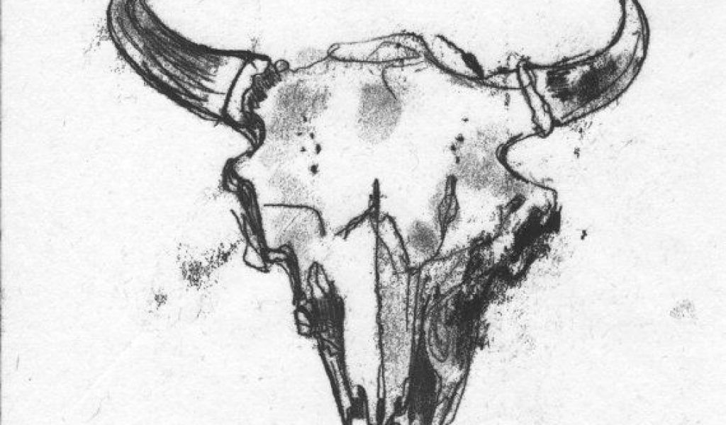 1024x600 Skull Drawing On Black Paper Reserved Listing For Bret Buffalo - Buffalo Skull Drawing