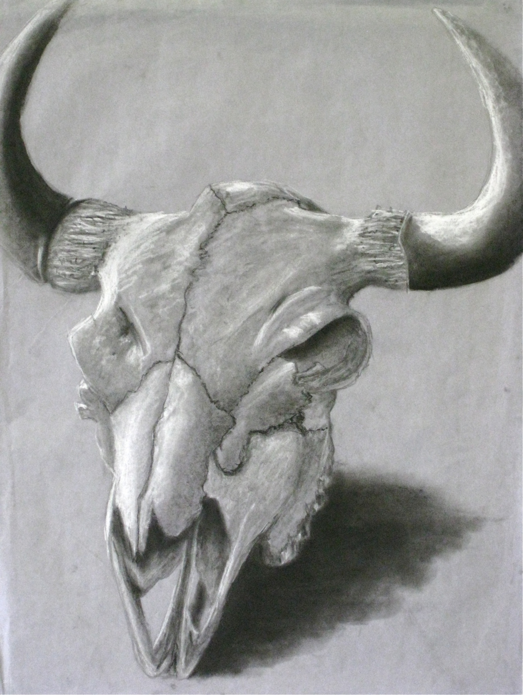Голова быка с рогами