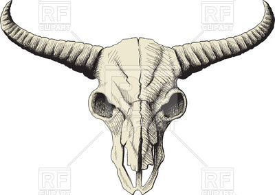 400x285 Bison Skull Drawing Vector Image Of Plants And Animals Sharpner - Buffalo Skull Drawing