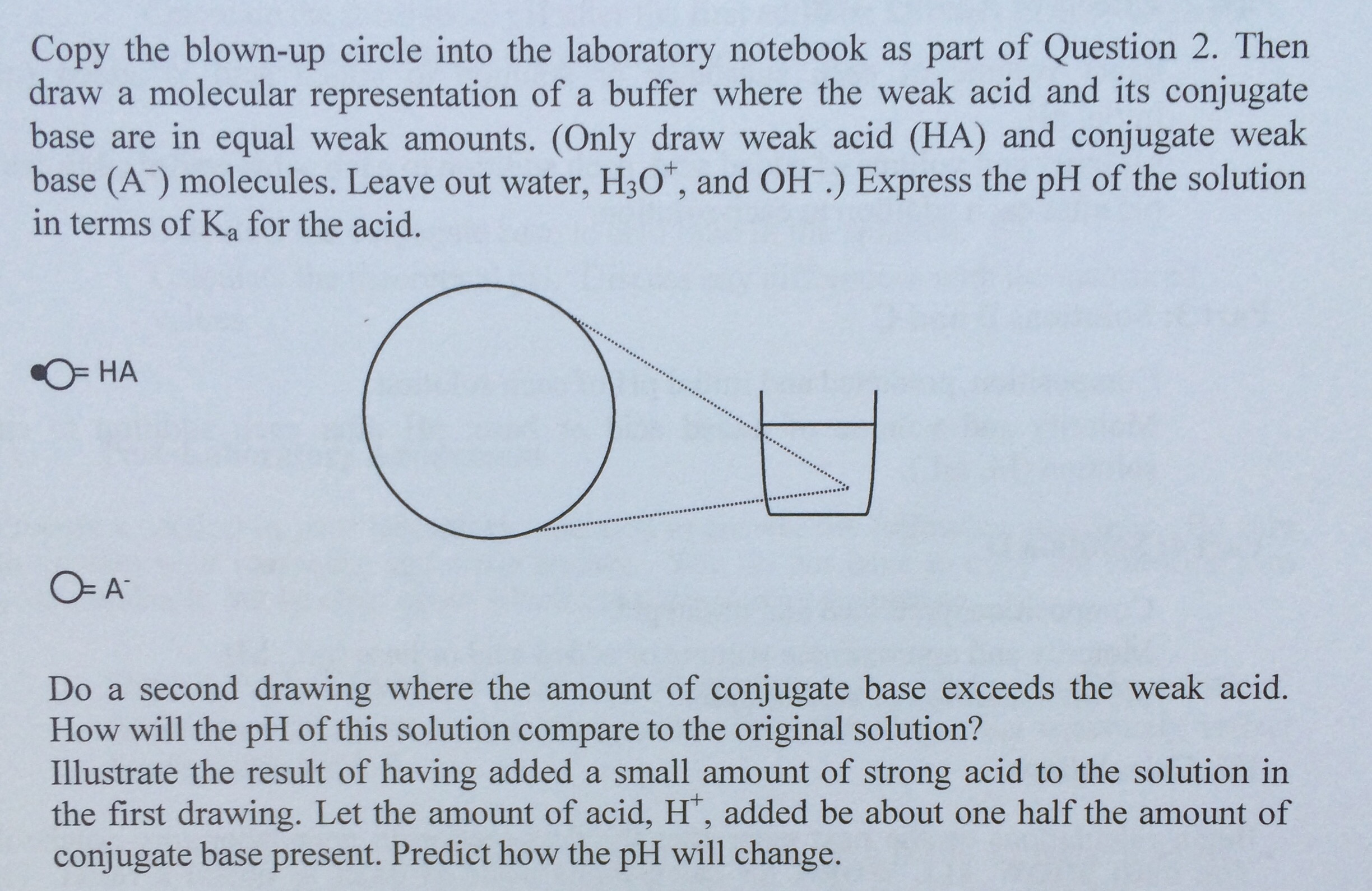 2448x1589 solved copy the blown up circle into the laboratory noteb - Buffer Drawing