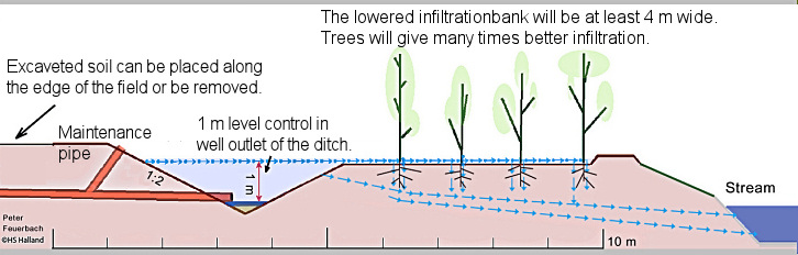726x232 wetlands integrated buffer zones - Buffer Drawing