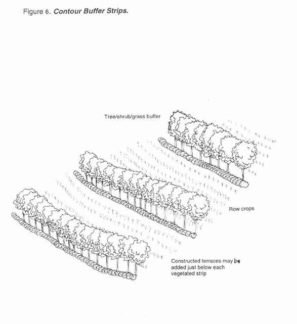 587x641 contour buffer strips - Buffer Drawing