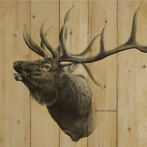 300x300 Loon Peak 'elk Bugle' Drawing Print On Wood Ebay - Bugle Drawing