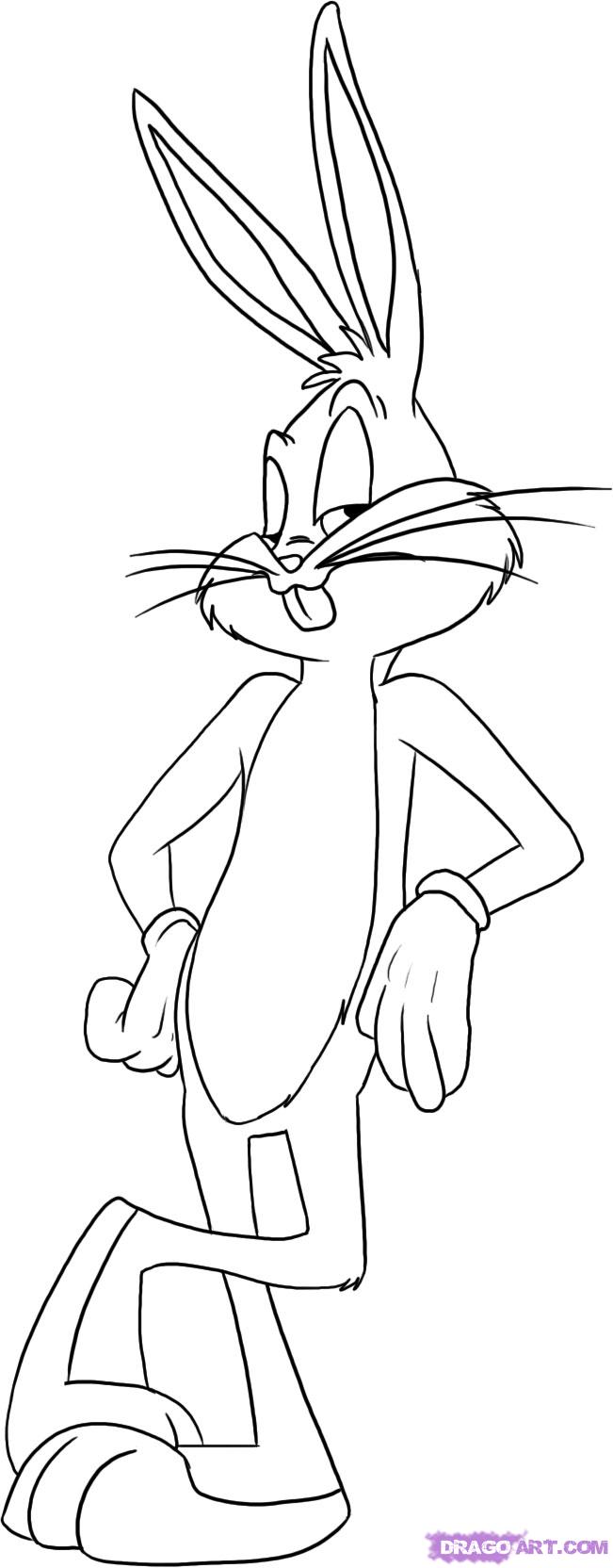 651x1664 how to draw bugs bunny, step - Bugs Bunny Cartoon Drawing