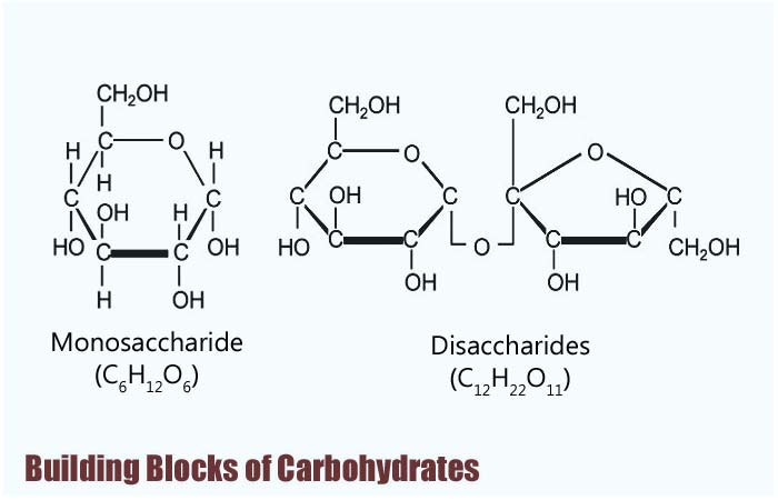 700x450 building blocks of carbohydrates types, properties functions - Building Blocks Drawing