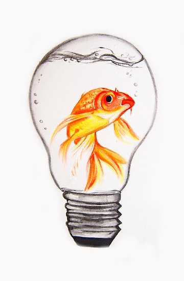 360x550 Fish Bulb Drawing Posters - Bulb Drawing