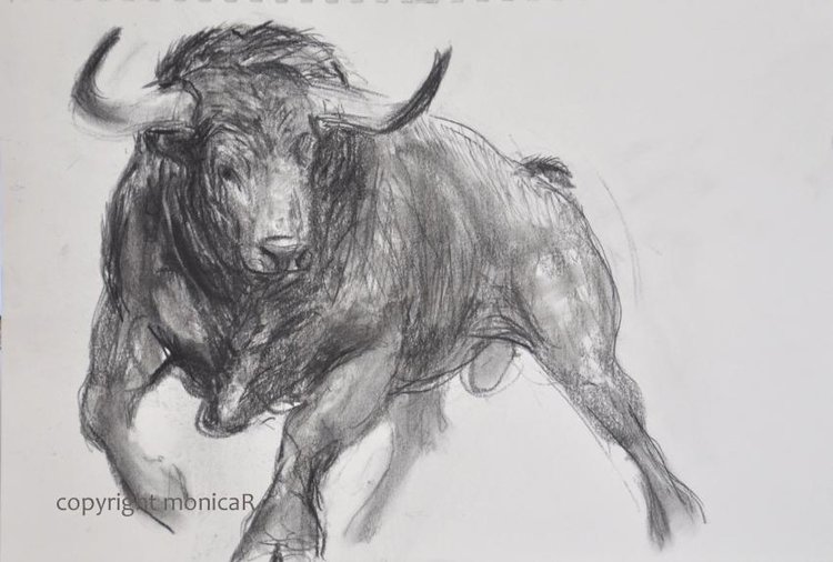 Bull Drawing at Explore collection of Bull Drawing