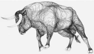 376x218 Marcus James Bull Drawing - Bull Drawing