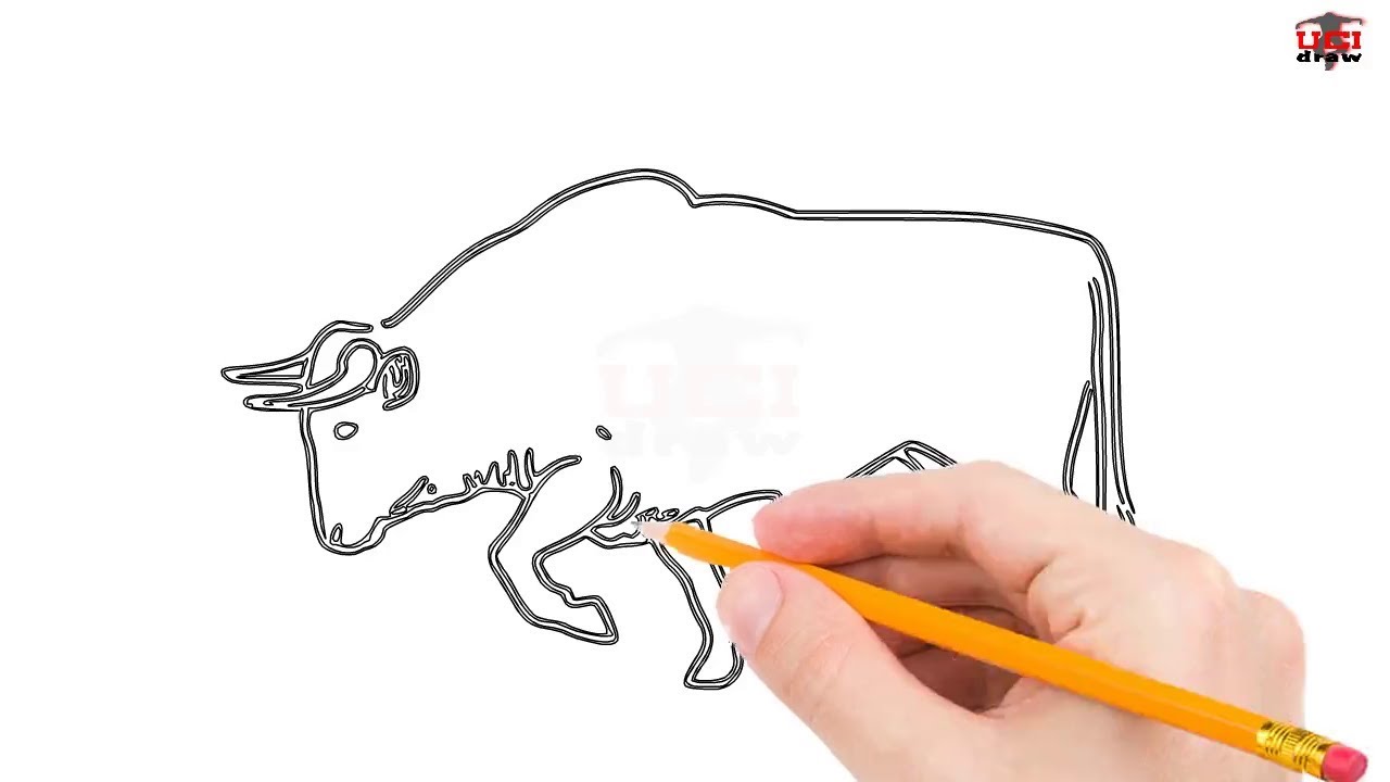 1280x720 How To Draw A Bull Step - Bull Drawing For Kids