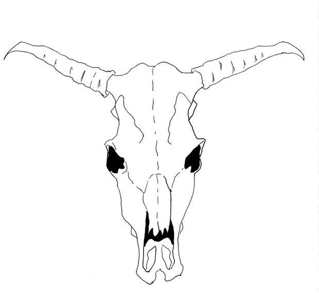 620x582 Drawn Bull Drawing Free Clip Art Stock Illustrations - Bull Drawing For Kids