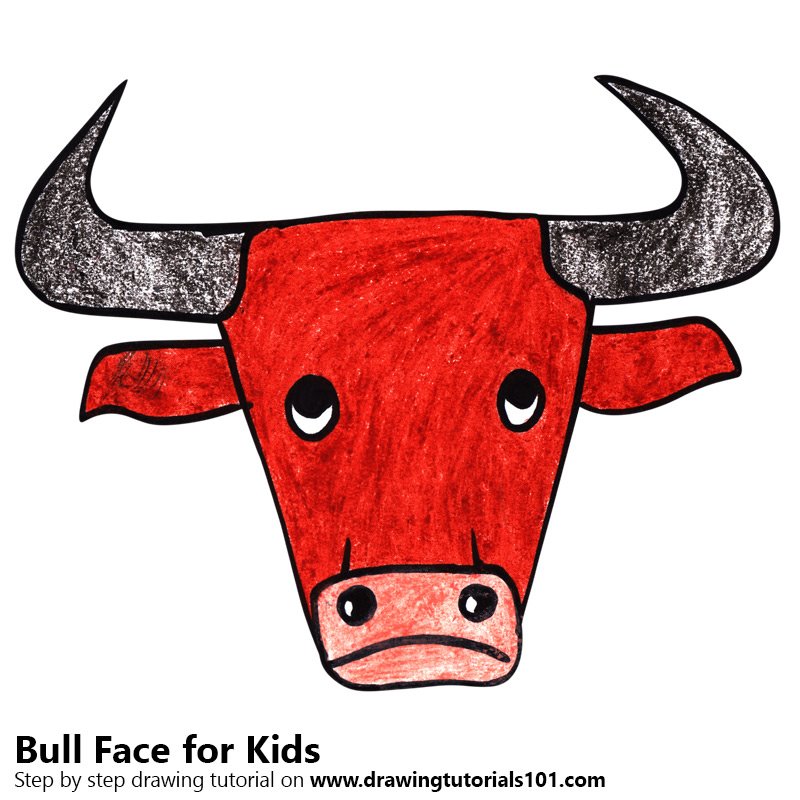 800x800 Learn How To Draw A Bull Face For Kids - Bull Drawing For Kids