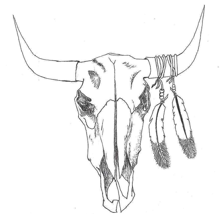 900x859 Bull Skull Drawing - Bull Drawing Pictures