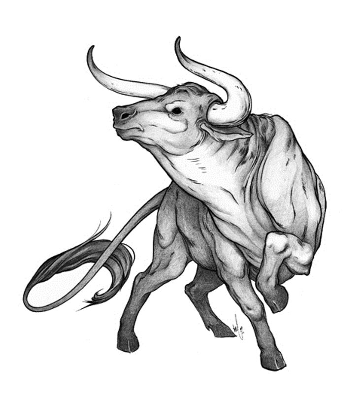 737x808 Bull Drawing Side For Free Download - Bull Drawing Pictures