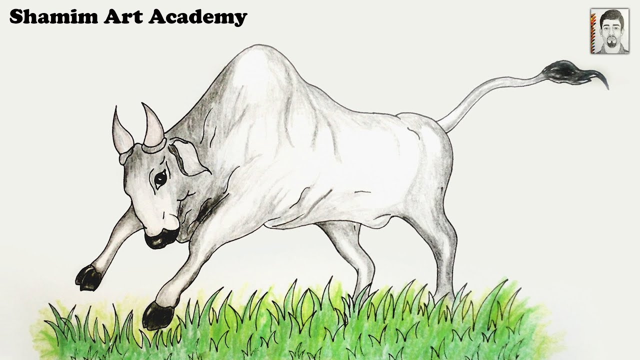 1280x720 How To Draw Bull Steb - Bull Drawing Pictures