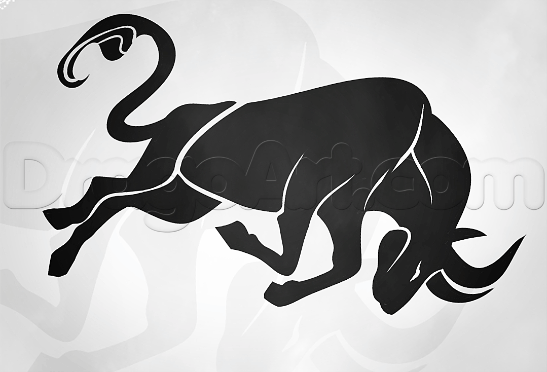 1079x734 How To Draw A Raging Bull, Step - Bull Drawing Pictures