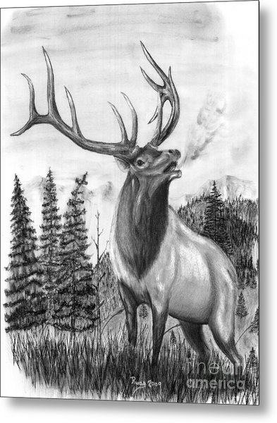 393x600 bull elk issuing challenge drawing - Bull Elk Drawing