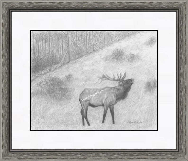 794x678 bull elk pencil art drawing challenger pencil etsy - Bull Elk Drawing