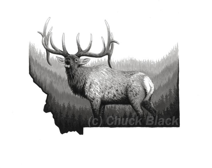 Bull Elk Drawing at Explore collection of Bull Elk