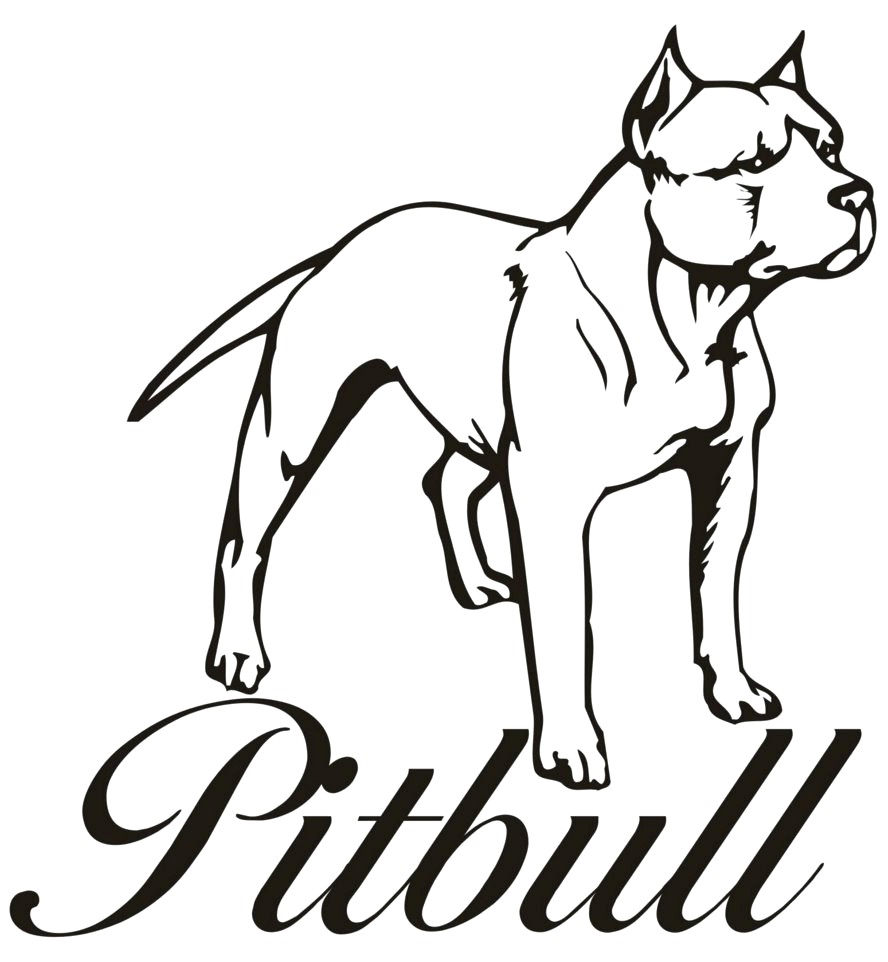 888x962 Drawing Of Pitbull Coloring Pages Winsome Easy Com Astonishing - Bull Face Drawing