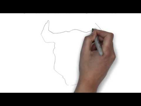 480x360 How To Draw A Black And White Face Of A Bull - Bull Face Drawing