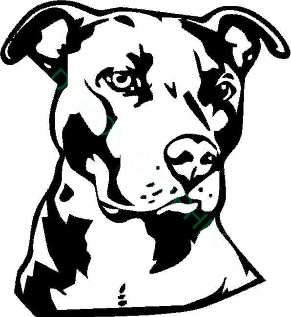 596x648 pit bull face vinyl decalsticker dog pitt animal pet american - Bull Face Drawing
