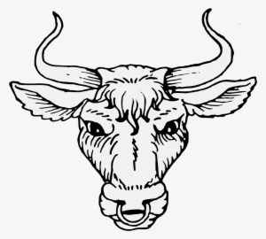 300x270 bull head png images png cliparts free download on seekpng - Bull Head Drawing