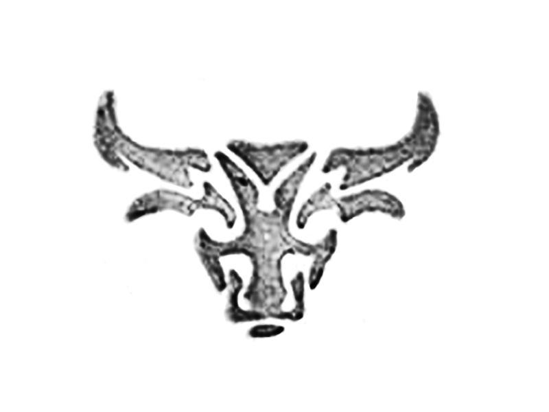 800x600 bull head - Bull Head Drawing