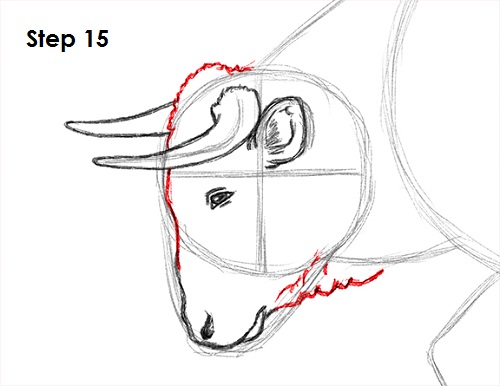 500x386 How To Draw A Bull - Bull Head Drawing
