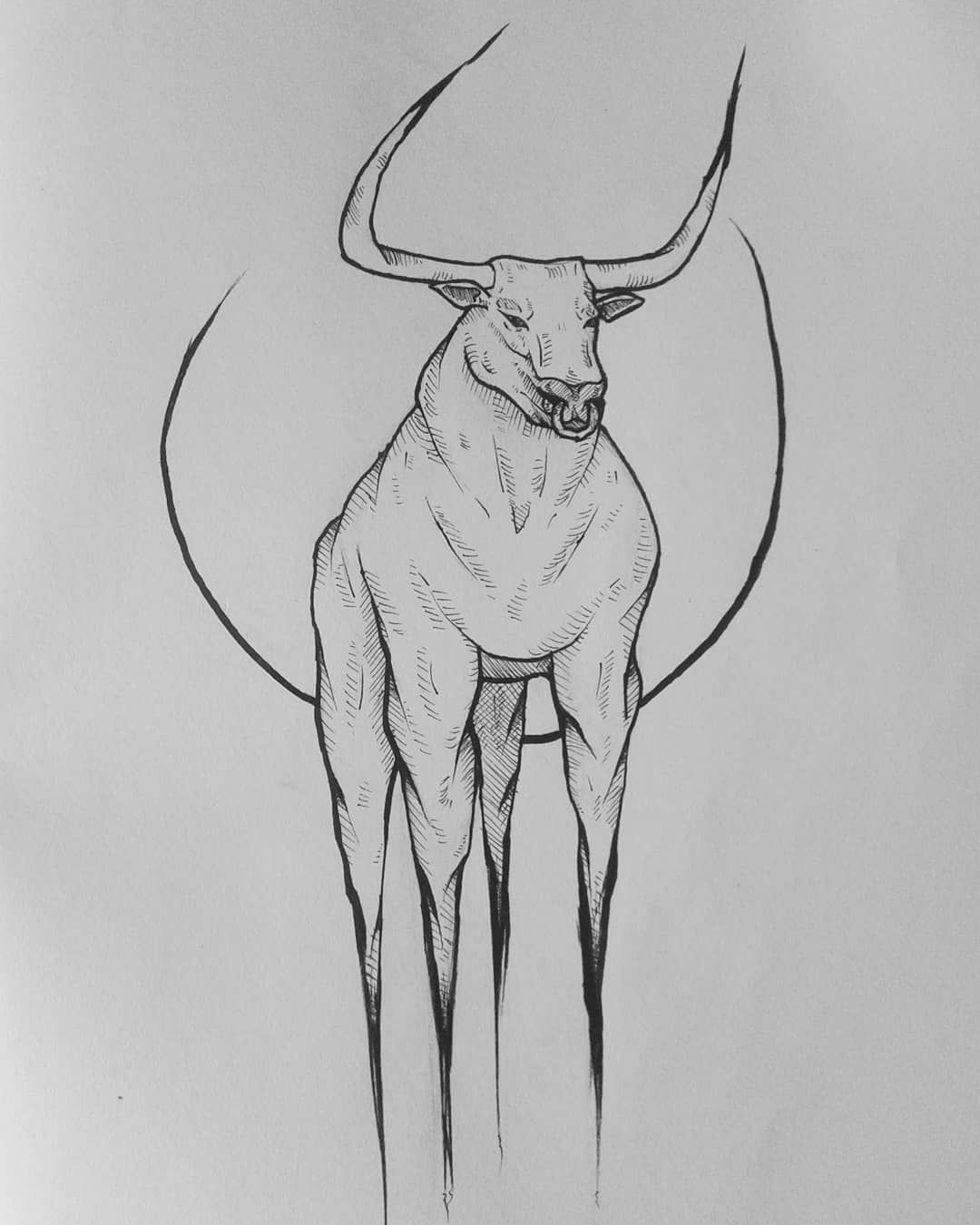 Bull Horns Drawing at PaintingValley.com | Explore collection of Bull ...