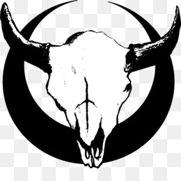 260x260 Bull Horns Png - Bull Horns Drawing