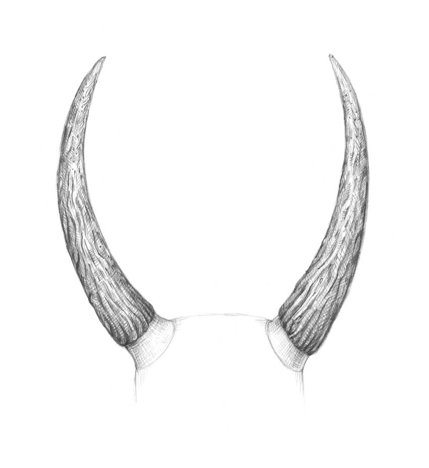 Bull Horns Drawing at Explore collection of Bull