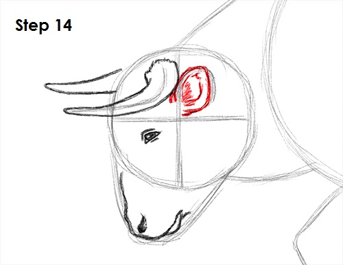 500x386 How To Draw A Bull - Bull Horns Drawing