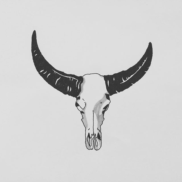 640x640 Huge Collection Of 'bull Horns Drawing' Download More Than - Bull Horns Drawing