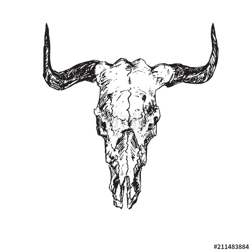 Bull Horns Drawing at PaintingValley.com | Explore collection of Bull ...