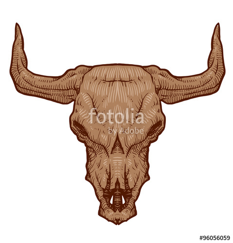 479x500 Vector Drawing Animal's Skull, Bull Cartoon Image Of Drawing - Bull Horns Drawing
