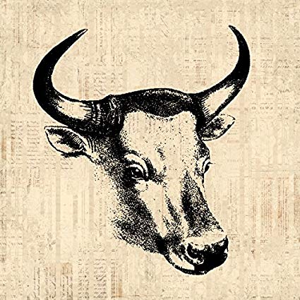 425x425 Vintage Bull Horns Western Wall Art With A Cow Or Bull - Bull Horns Drawing