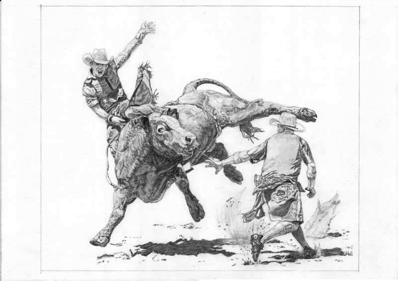 800x566 Bull Drawing Cowboy For Free Download - Bull Riding Drawing