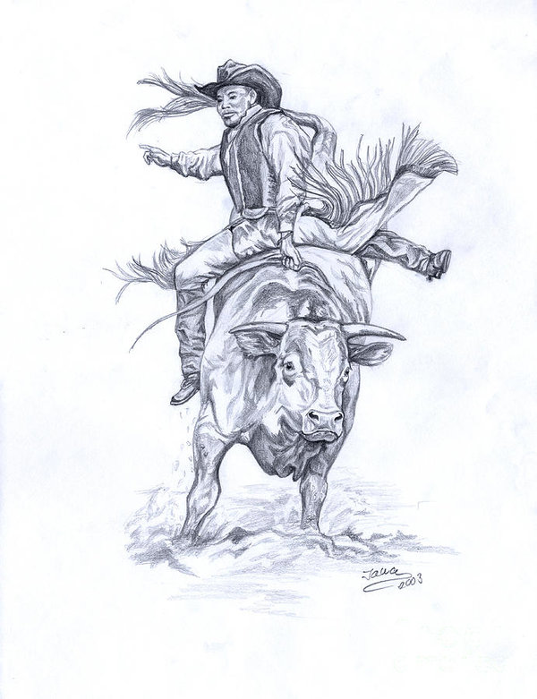 Bull Riding Drawing at PaintingValley.com | Explore collection of Bull ...