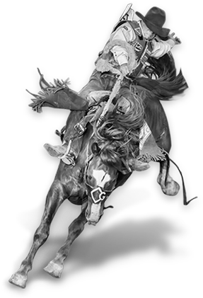 287x421 Drawing Cowboys Bull Riding Transparent Png Clipart Free - Bull Riding Drawing