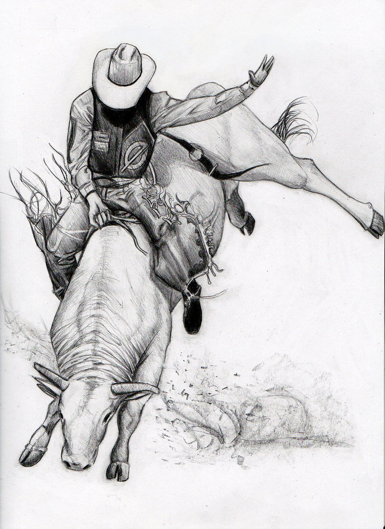 763x1048 Bull Drawing Pencil For Free Download - Bull Riding Drawing