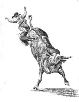 309x400 Donut Shop Doodle - Bull Riding Drawing