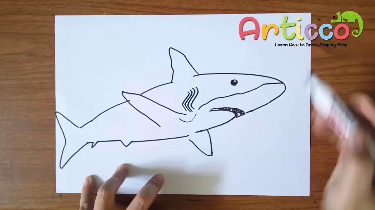 1280x720 How To Draw Bull Shark Step - Bull Shark Drawing
