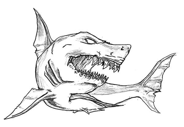 600x414 Shark Colouring Pictures Luxury Bull Shark Drawing - Bull Shark Drawing