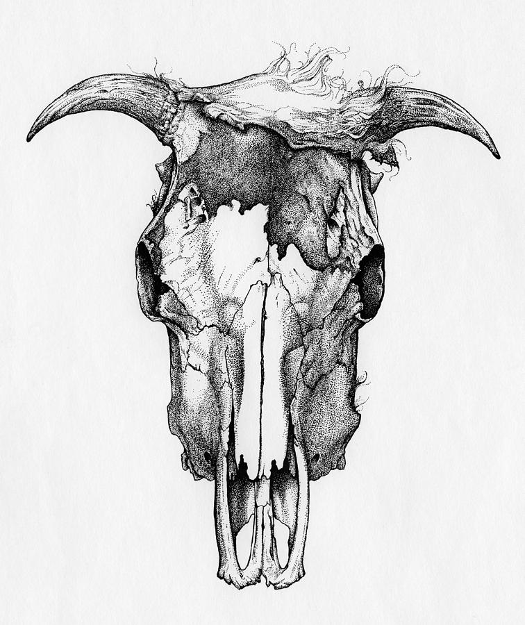 756x900 Cow Skull Drawing - Bull Skull Drawing