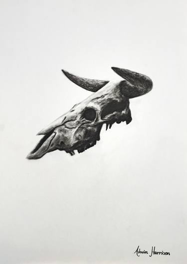 375x527 Bull Skull Drawing - Bull Skull Drawing