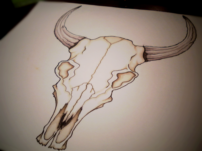 700x525 bull skull drawings zodiac bull skull design - Bull Skull Drawing