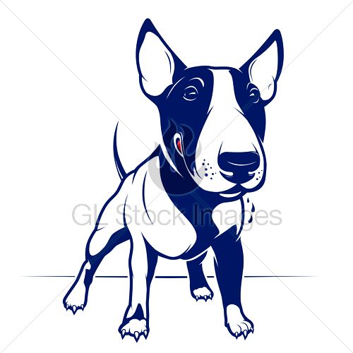 500x500 Bull Terrier Face Drawings Photo - Bull Terrier Drawing