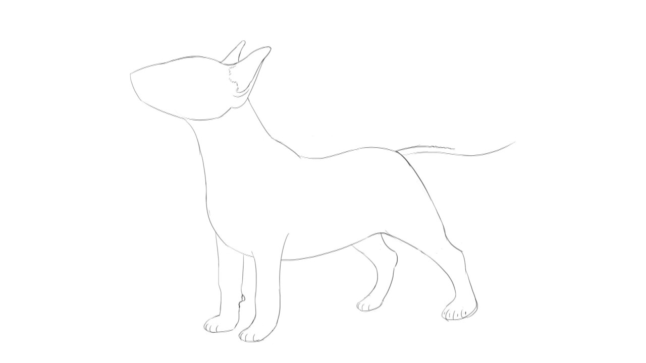 1280x720 Bull Terrier Drawing - Bull Terrier Drawing