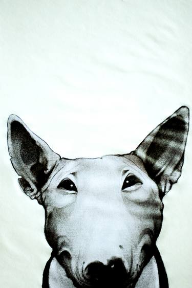 375x563 American Bull Terrier Drawing - Bull Terrier Drawing