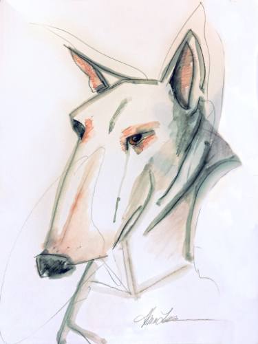 375x500 essential line bull terrier drawing - Bull Terrier Drawing